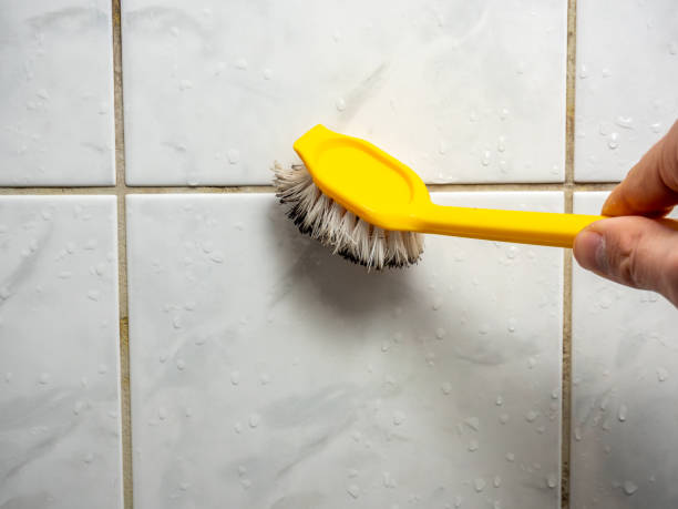 Professional Mold Removal in Red Lion, PA