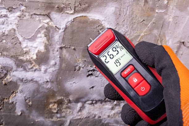 Best Emergency Mold Removal  in Red Lion, PA