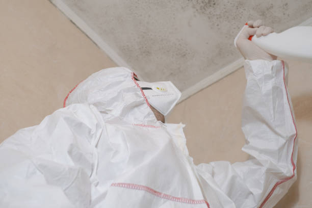 Certified Mold Removal in Red Lion, PA