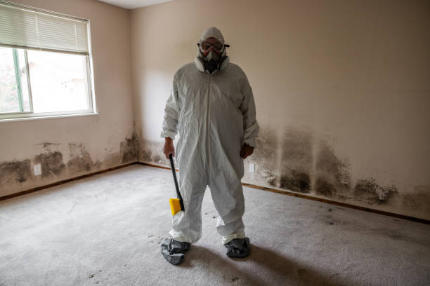 Best Commercial Mold Removal  in Red Lion, PA